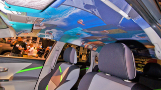 Pass The Billabong And Stare At The Venza's Headliner